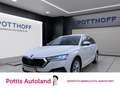 Skoda Octavia Combi 2.0 TDI STYLE AHK NAVI PDC SITZHZG Weiß - thumbnail 1