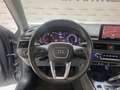 Audi A4 35 TFSI (EU6d-TEMP) Gris - thumbnail 11