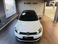 Volkswagen Golf 1.6TDI CR Sport 105 Blanco - thumbnail 7