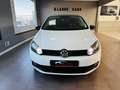 Volkswagen Golf 1.6TDI CR Sport 105 Blanco - thumbnail 5