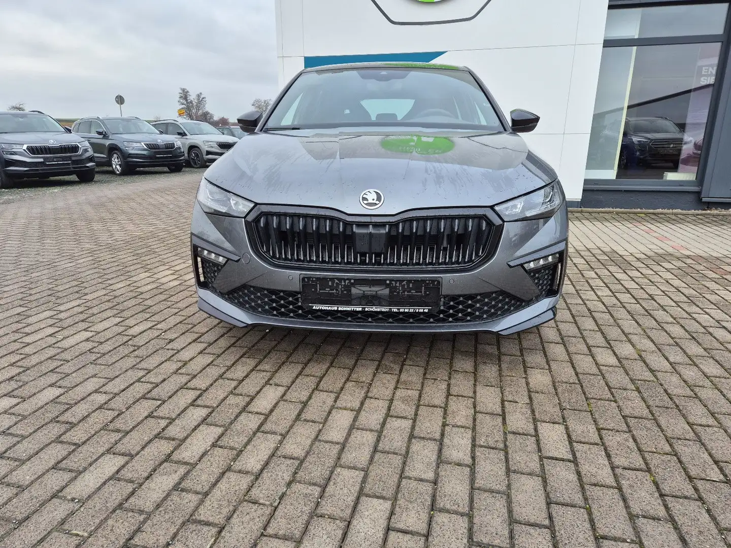 Skoda Scala Monte Carlo Smart Link DSG Lenkradheizung Grau - 2