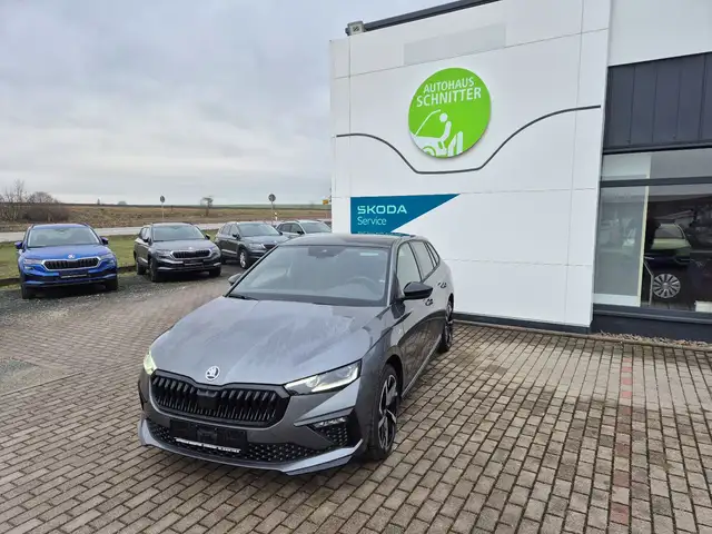 Skoda Scala Monte Carlo Smart Link DSG Lenkradheizung