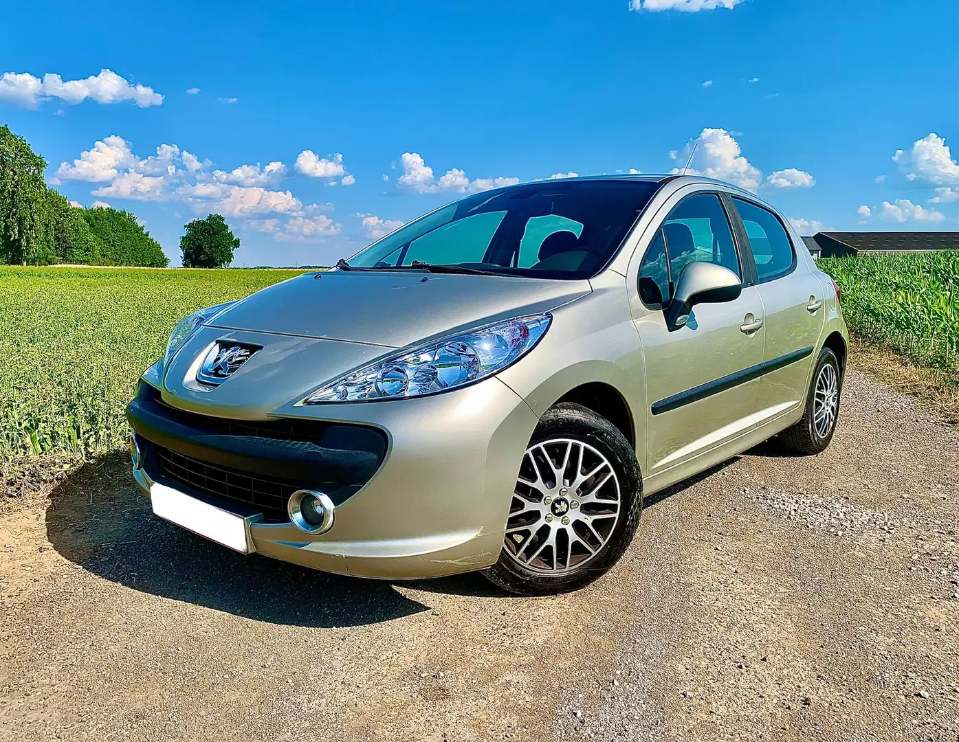 Peugeot 207 1.6HDI Euro4 - Distri faite, Prêt à immatriculer - 1