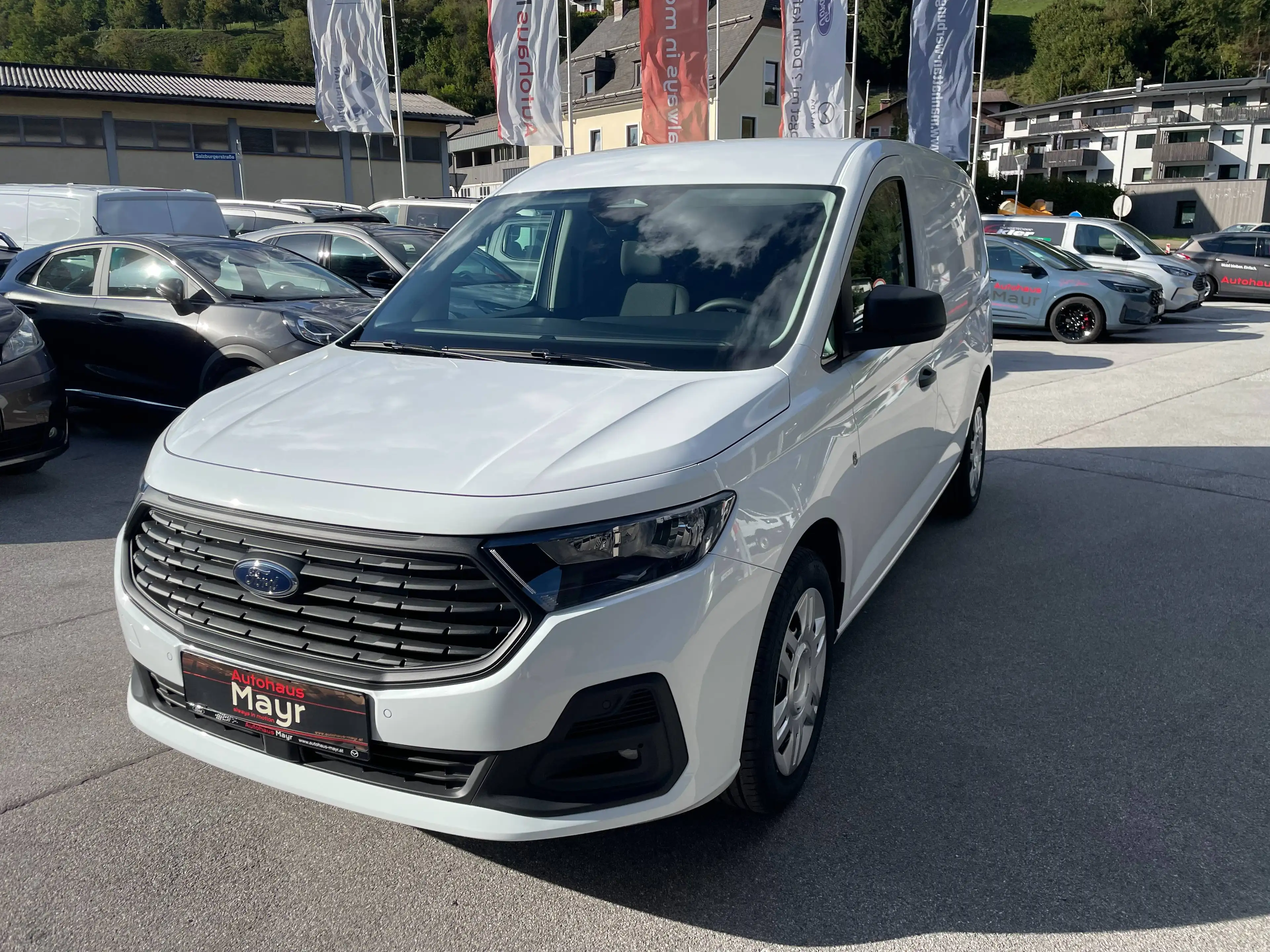 Ford Transit Connect Trend L2 Kasten