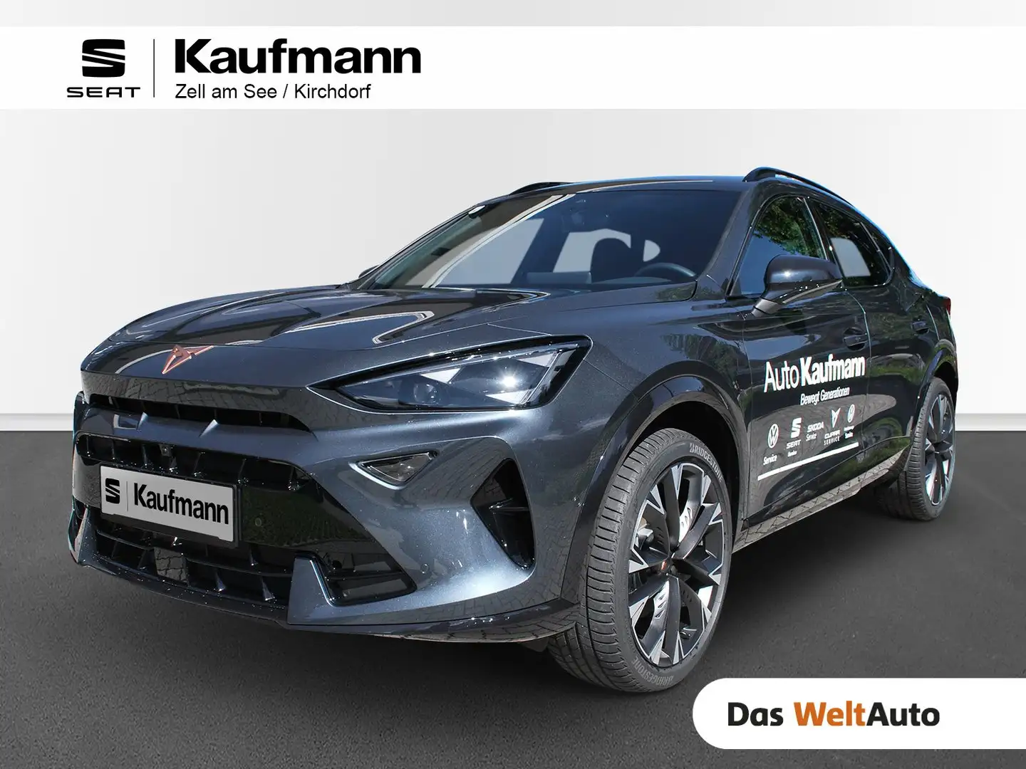 CUPRA Formentor 2.0 TSI 204 PS DSG 4Drive Gris - 1