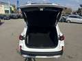 Ford Kuga 2,5 Duratec FHEV Active X Allrad Aut.*LED_MATRI... Weiß - thumbnail 15