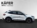 Ford Kuga 2,5 Duratec FHEV Active X Allrad Aut.*LED_MATRI... Weiß - thumbnail 5