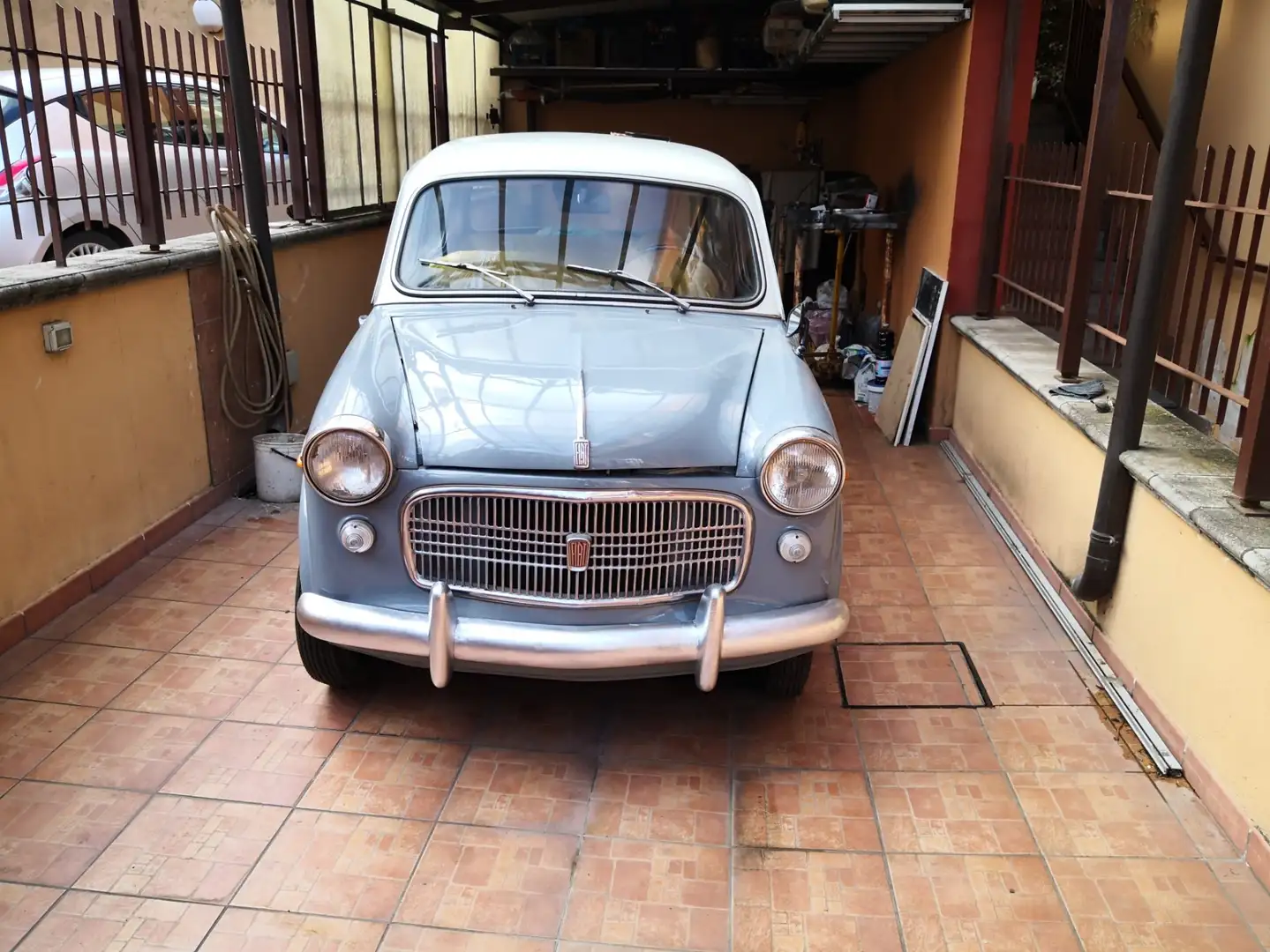 Fiat 1100 103 siva - 1