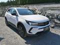 Opel Grandland Service NEU, Rückfahrkamera Weiß - thumbnail 13