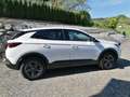 Opel Grandland Service NEU, Rückfahrkamera Weiß - thumbnail 10