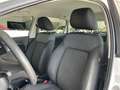 Volkswagen Polo - Unico Proprietario Bianco - thumbnail 11