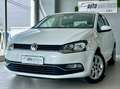 Volkswagen Polo - Unico Proprietario Bianco - thumbnail 3