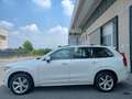 Volvo XC90 D5 AWD Geartronic 7 posti Business Plus Bianco - thumbnail 6