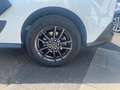 Ford Transit Connect Standheizung Klima AHK 1.Hand Weiß - thumbnail 6