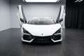 Lamborghini Revuelto REVUELTO CARBON/CAM/PASS DISPLAY Weiß - thumbnail 13