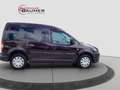 Volkswagen Caddy 1.6 TDI Roncalli AHK Navi SHZ PDC hinten Mauve - thumbnail 6