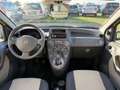 Fiat Panda Panda 1.2 Dynamic Natural Power Giallo - thumbnail 13