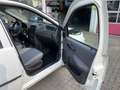 Fiat Punto 1.2 Gas/Benzin Білий - thumbnail 8