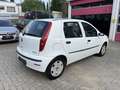 Fiat Punto 1.2 Gas/Benzin Білий - thumbnail 5
