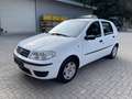 Fiat Punto 1.2 Gas/Benzin Wit - thumbnail 1