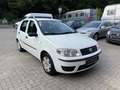 Fiat Punto 1.2 Gas/Benzin Weiß - thumbnail 7