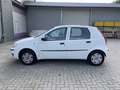 Fiat Punto 1.2 Gas/Benzin Білий - thumbnail 3