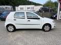 Fiat Punto 1.2 Gas/Benzin Білий - thumbnail 6