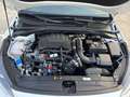 Kia Ceed / cee'd 1.0 MHEV Eco-Dynamics Drive DCT 120 - thumbnail 23