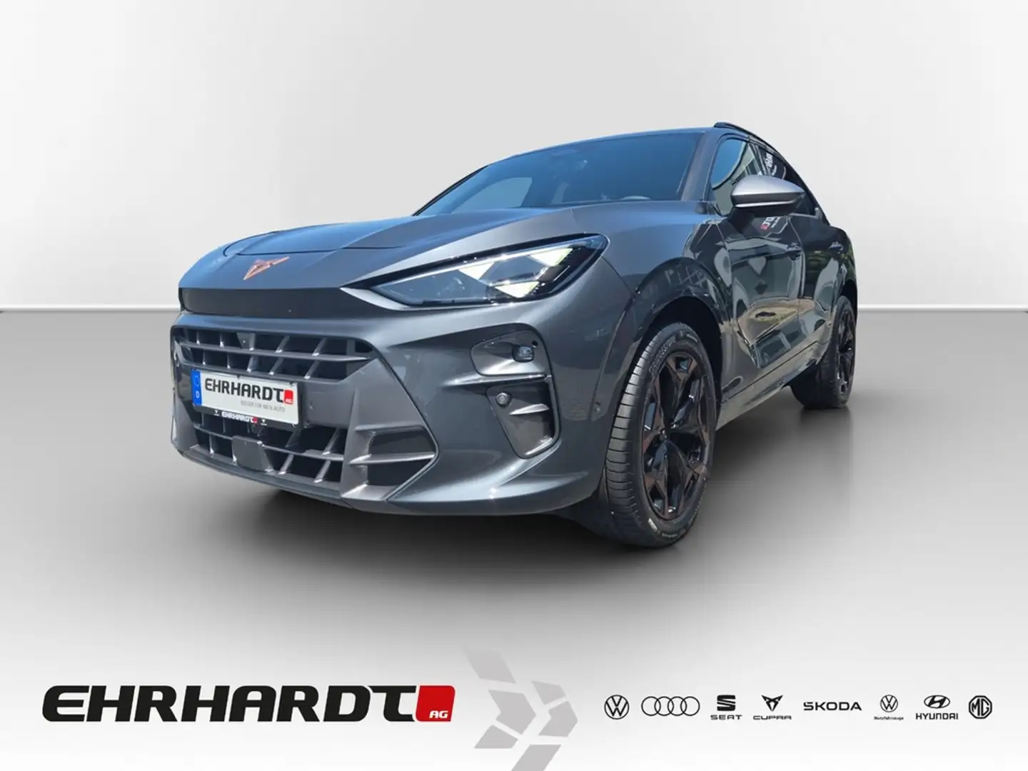 CUPRA Terramar 2.0 TSI DSG 4Drive COPPER DCC AHK*MATRIX*HEADUP... Gris - 1