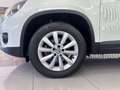Volkswagen Tiguan 2.0 TDI 110cv 4x2 T1 BlueMotion Tech Blanco - thumbnail 30