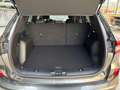Ford Kuga ST-Line 150 PS EcoBoost/Benzin (PROMPT VERFÜGBA... Grau - thumbnail 9