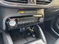 Ford Kuga ST-Line 150 PS EcoBoost/Benzin (PROMPT VERFÜGBA... Grau - thumbnail 22