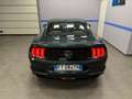 Ford Mustang MUSTANG FASTBACK 5.0 V8 GT 459cv BULLIT ITALIANA Groen - thumbnail 5