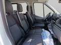 Ford Transit 2014 - Transit 350 2.0TDCiEcoBlue 165CV PL Bianco - thumbnail 13