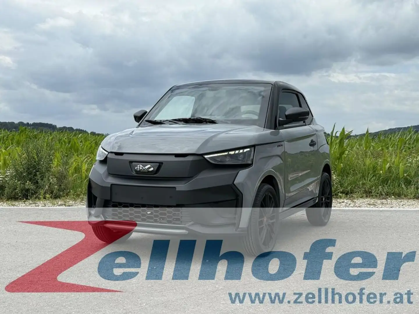 Ligier JS 50 JS50 Elektro Facelift 12 kW/h fahrbar ab 15 Jahren Grau - 1