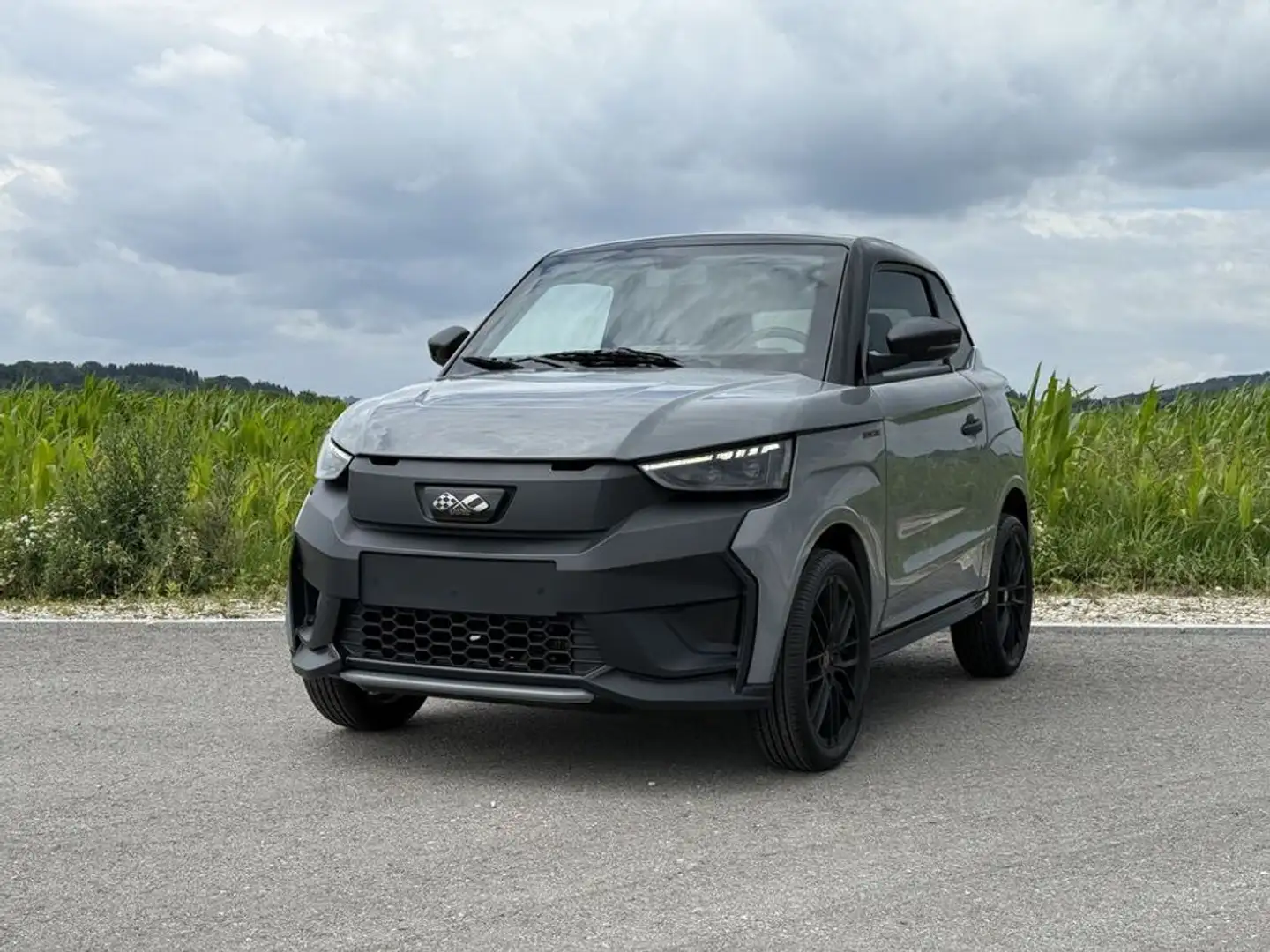 Ligier JS 50 JS50 Elektro Facelift 12 kW/h fahrbar ab 15 Jahren Grau - 2