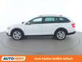 Skoda Octavia 2.0 TDI Scout 4x4 Weiß - thumbnail 3