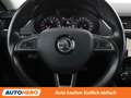 Skoda Octavia 2.0 TDI Scout 4x4 Weiß - thumbnail 19