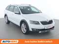 Skoda Octavia 2.0 TDI Scout 4x4 Weiß - thumbnail 8
