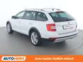 Skoda Octavia 2.0 TDI Scout 4x4 Weiß - thumbnail 4