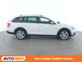 Skoda Octavia 2.0 TDI Scout 4x4 Weiß - thumbnail 7