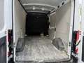 Ford Transit 350 L2 Trend Aut./AHK/Xenon Weiß - thumbnail 6