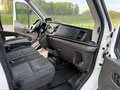 Ford Transit 350 L2 Trend Aut./AHK/Xenon Weiß - thumbnail 12