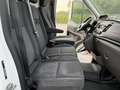 Ford Transit 350 L2 Trend Aut./AHK/Xenon Weiß - thumbnail 13