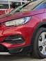 Opel Grandland X 1.2 Turbo Innovation - Navigatie / Apple CarPlay I Rouge - thumbnail 13