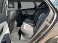 Kia Ceed SW / cee'd SW CEED Sportswagon 1.6 GDI Dream Team AHK+Kamera Бежевий - thumbnail 14
