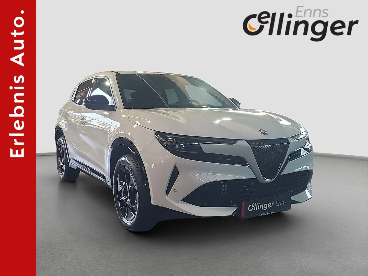 Alfa Romeo Junior Sprint Weiß - 1