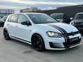 Volkswagen Golf GTI Golf GTI 2,0 TSI Performance Weiß - thumbnail 5
