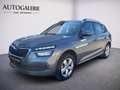 Skoda Kamiq Active Grau - thumbnail 1