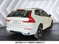 Volvo XC60 T6 AWD Plug-in Hybrid Ultra Dark Weiß - thumbnail 5
